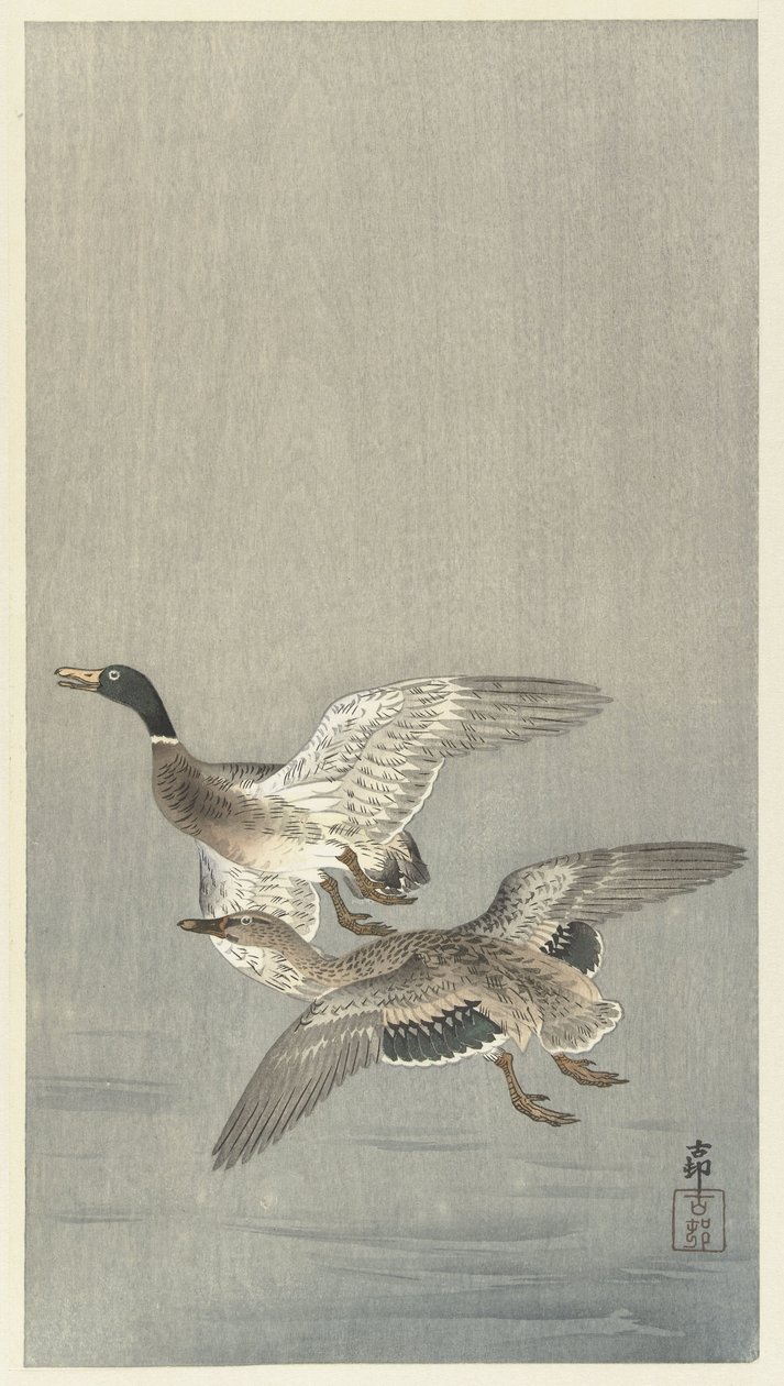 Koppel eenden door Ohara Koson
