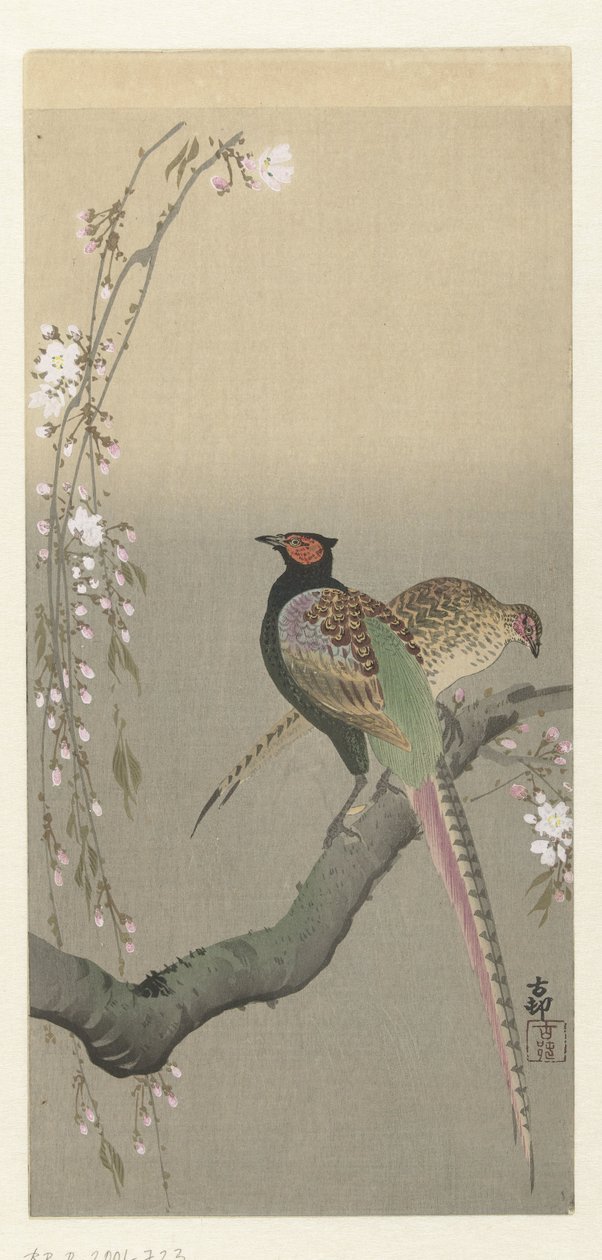Koppel fazanten en kersenbloesem door Ohara Koson
