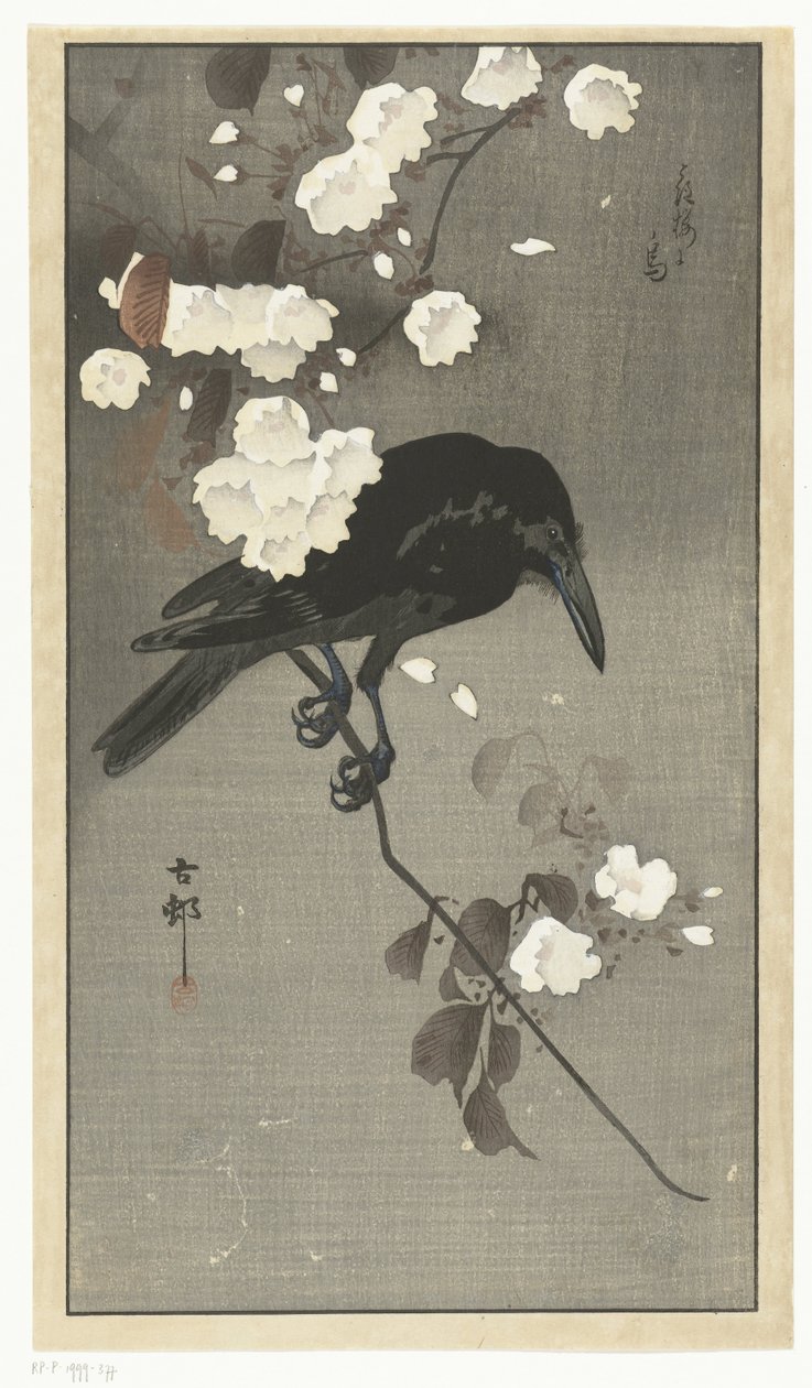Kraai met kersenbloesem door Ohara Koson