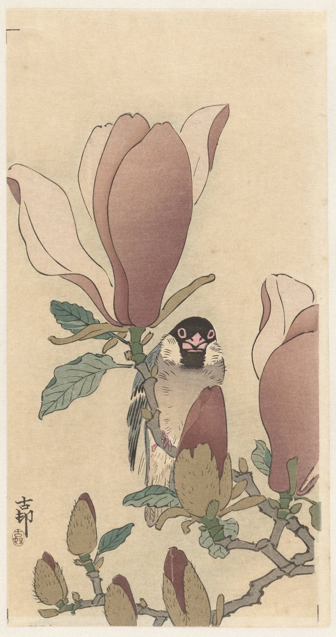 Mus op bloeiende magnolia tak door Ohara Koson