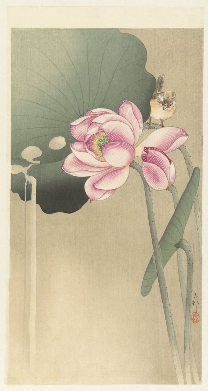 Zangvogel en Lotus door Ohara Koson