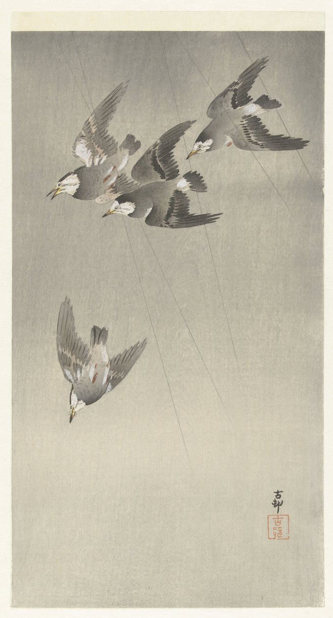 Spreeuwen in de regen door Ohara Koson