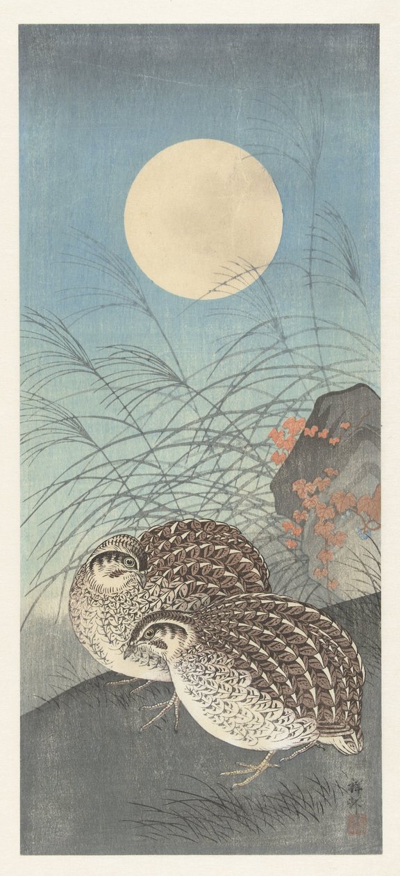 Twee kwartels bij volle maan door Ohara Koson