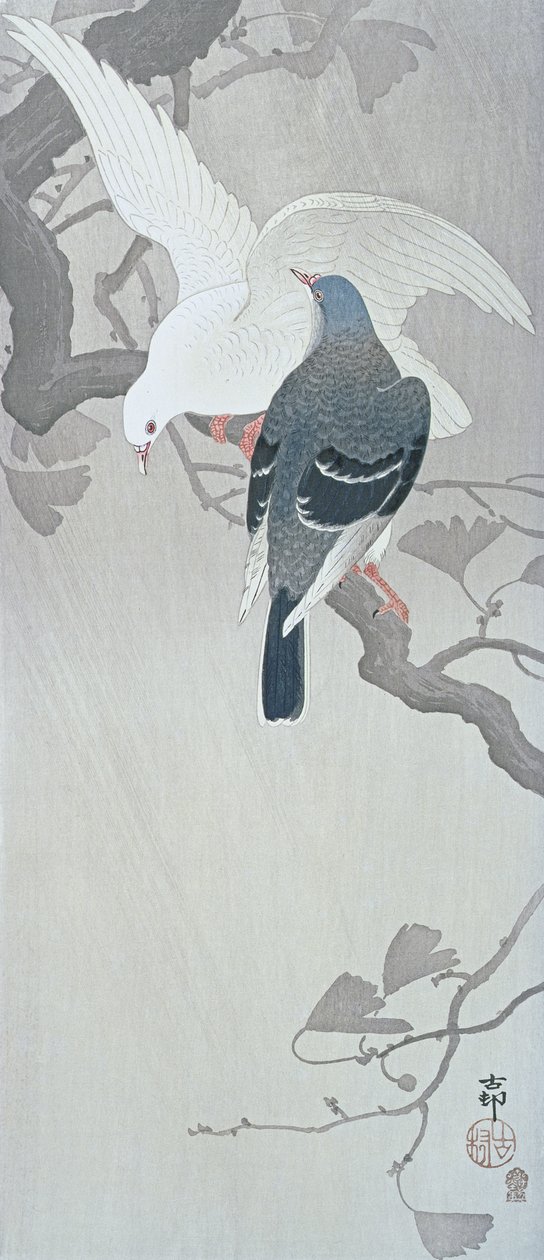 Twee duiven in de regen op een tak van een Ginkgoboom door Ohara Koson