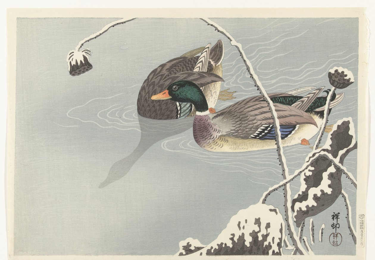 Twee wilde eenden bij een met sneeuw bedekte lotus door Ohara Koson