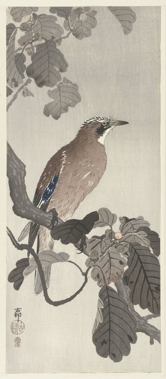 Vlaamse gaai op boomtak door Ohara Koson