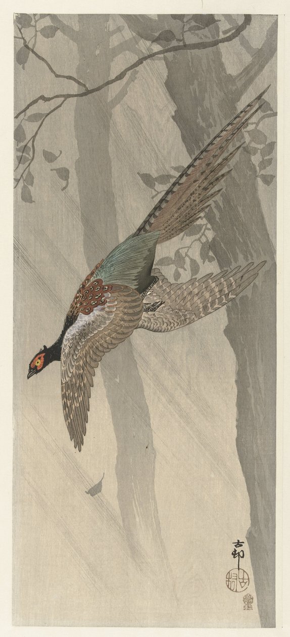 Vliegende fazant door Ohara Koson