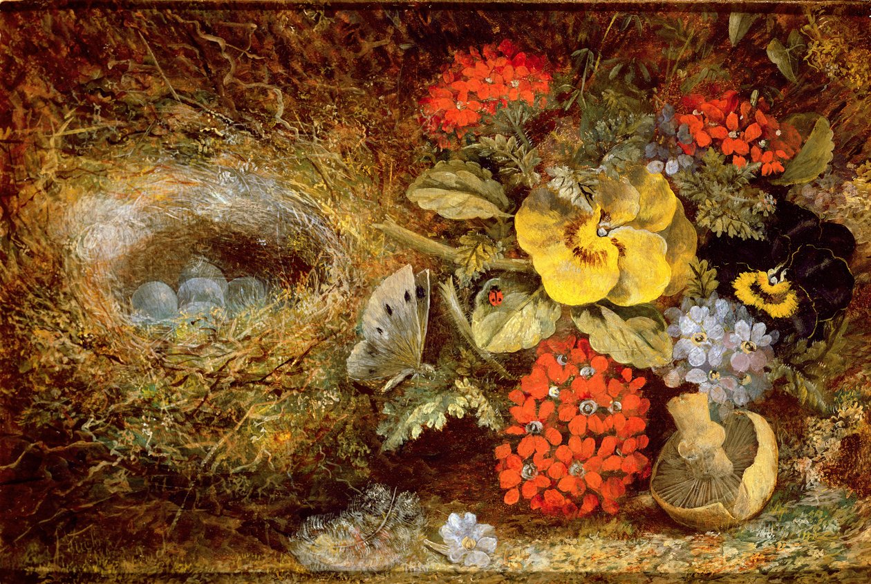 Bloemen en vogelnest met vlinder en paddenstoel door Oliver Clare