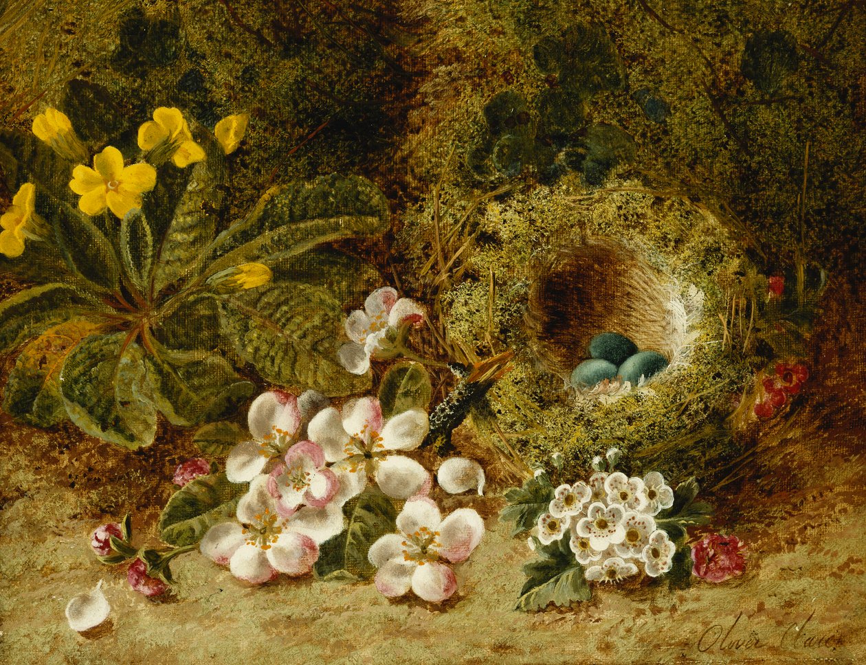 Appelbloesems, een sleutelbloem en een vogelnest op een mosrijke oever door Oliver Clare