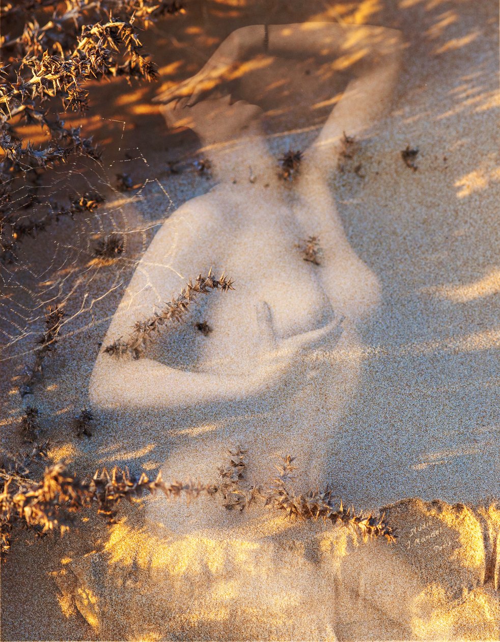 Nudo su sabbia, 2019 (digitale gemengde techniek) door Olivia Gozzano