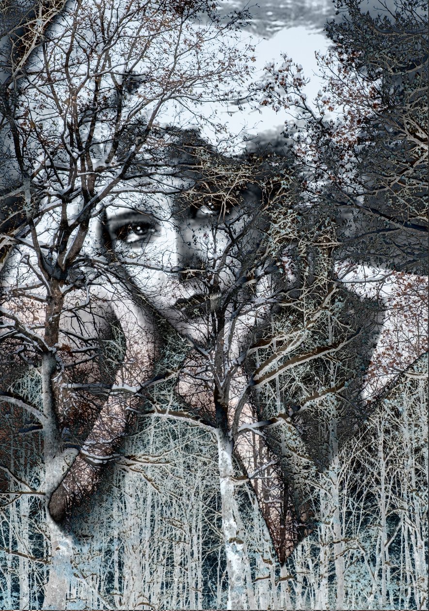 Winterportret in negatief, 2021(digitale gemengde techniek) door Olivia Gozzano