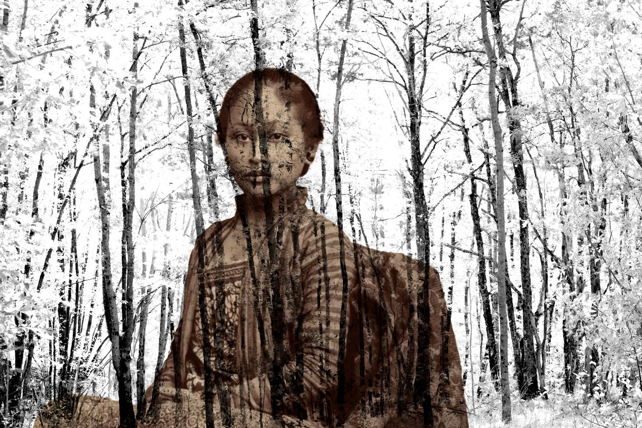 Portret tussen de takken, 2024 (digitale gemengde techniek) door Olivia Gozzano
