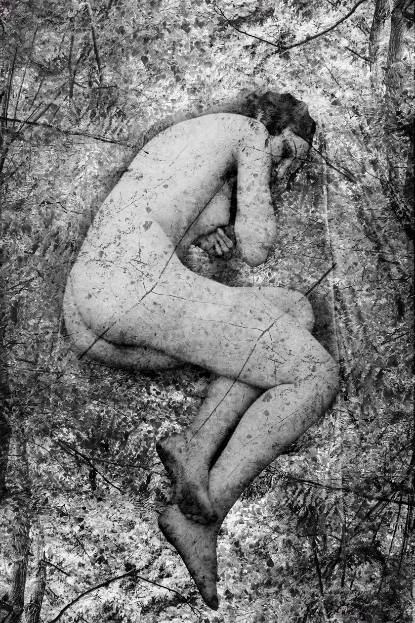 Seme, 2024 (digitale mixedmedia) door Olivia Gozzano