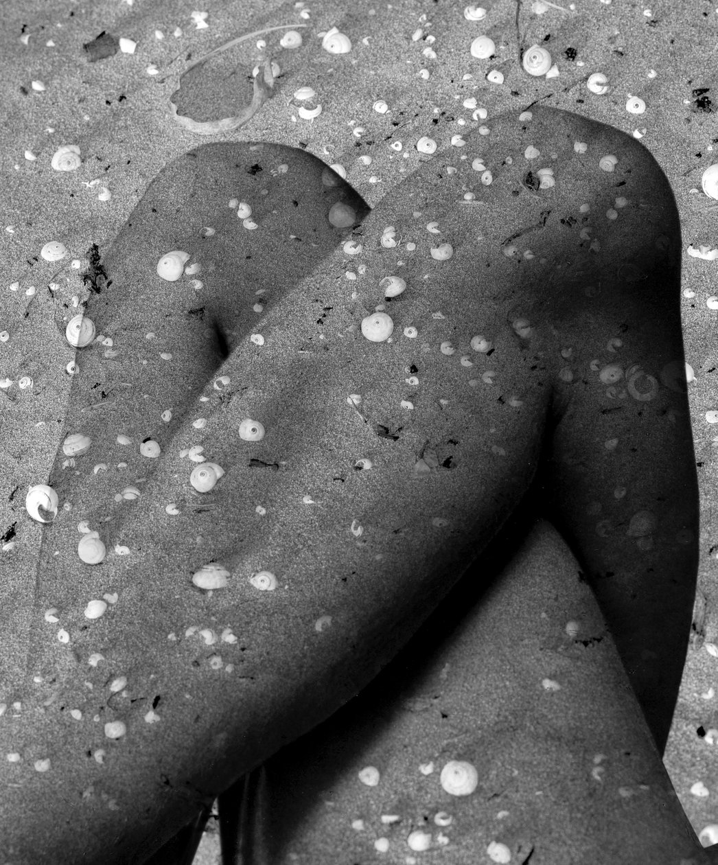 Schelpenpoten, 2019 (digitale mixedmedia) door Olivia Gozzano