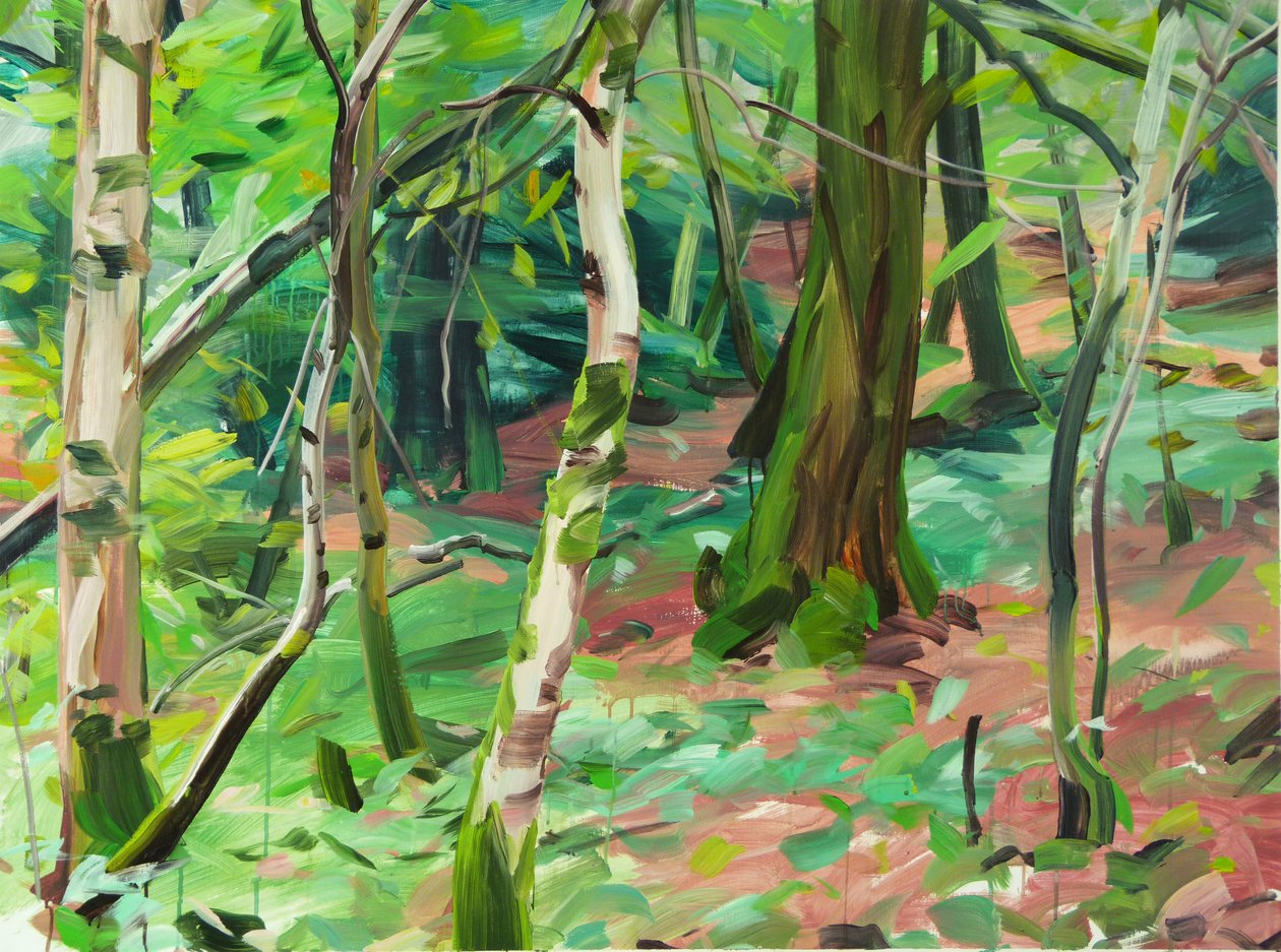 Forêt 6 door Olivier Morel