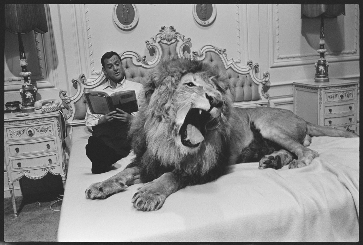 Tony Randall met leeuw (Zamba), op de set van 