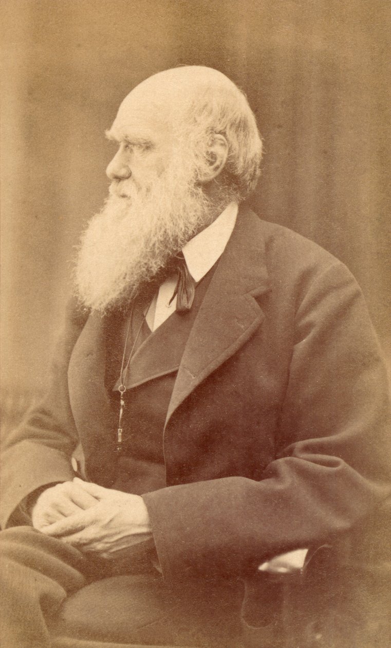 Portret van Charles Darwin op 72-jarige leeftijd, ca. 1871 door Oscar Gustav Rejlander