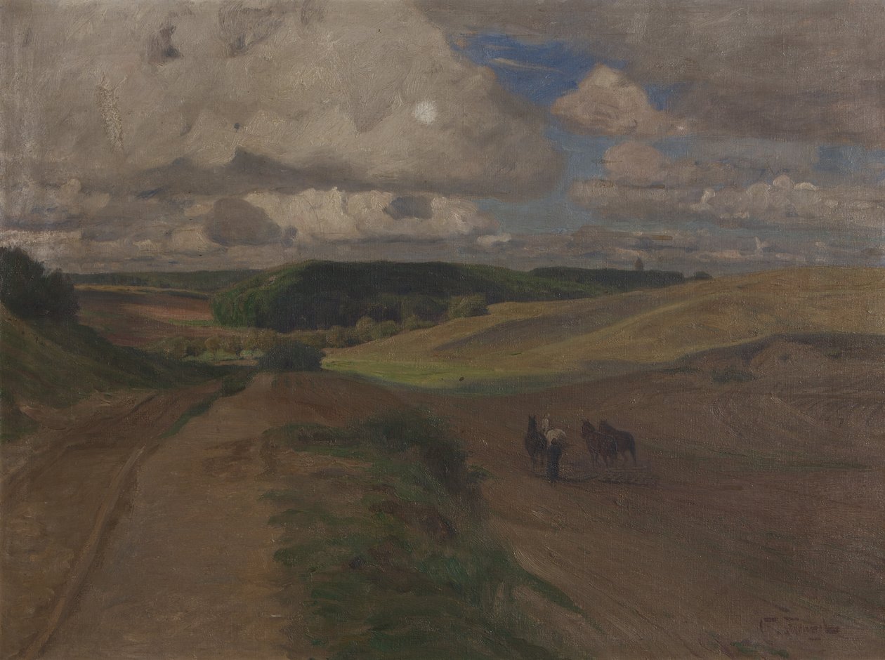 Wolkenschaduw door Oskar Frenzel