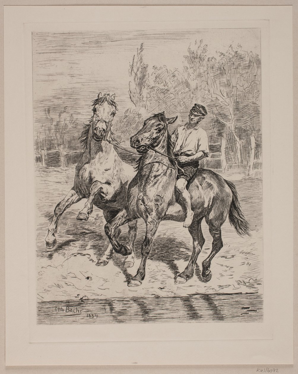 De paarden worden gedrenkt door Otto Bache