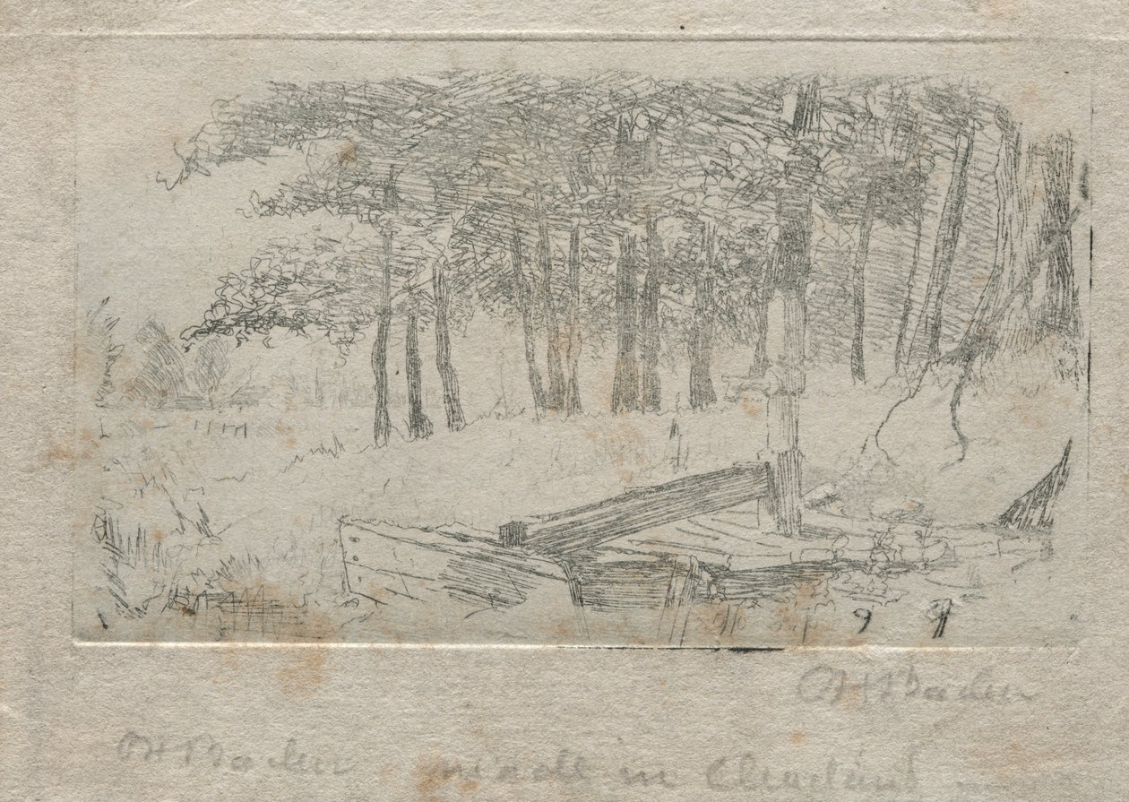 Schets van de natuur door Otto H. Bacher