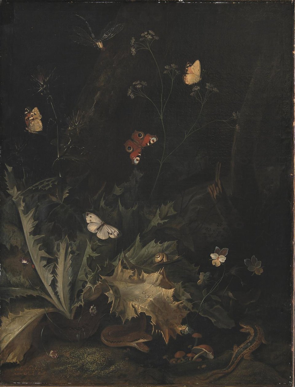 Een bosbodem met een distel, een slang, een hagedis en vlinders door Otto Marseus  van Schrieck