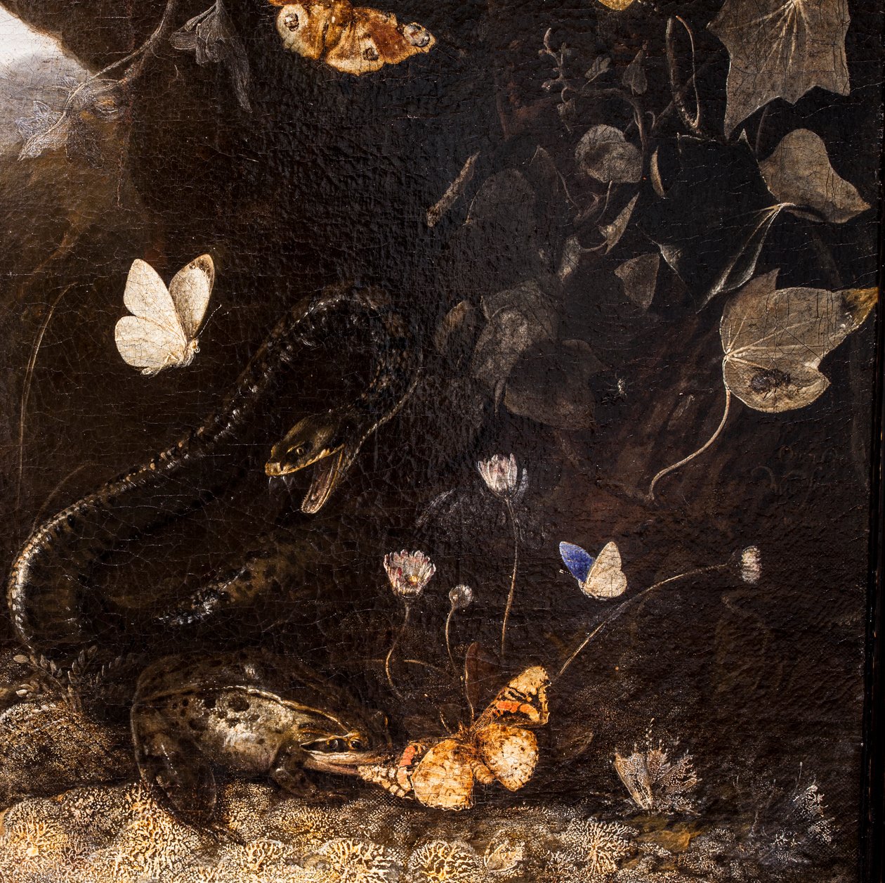 Slangen, padden en vlinders door Otto Marseus van Schrieck
