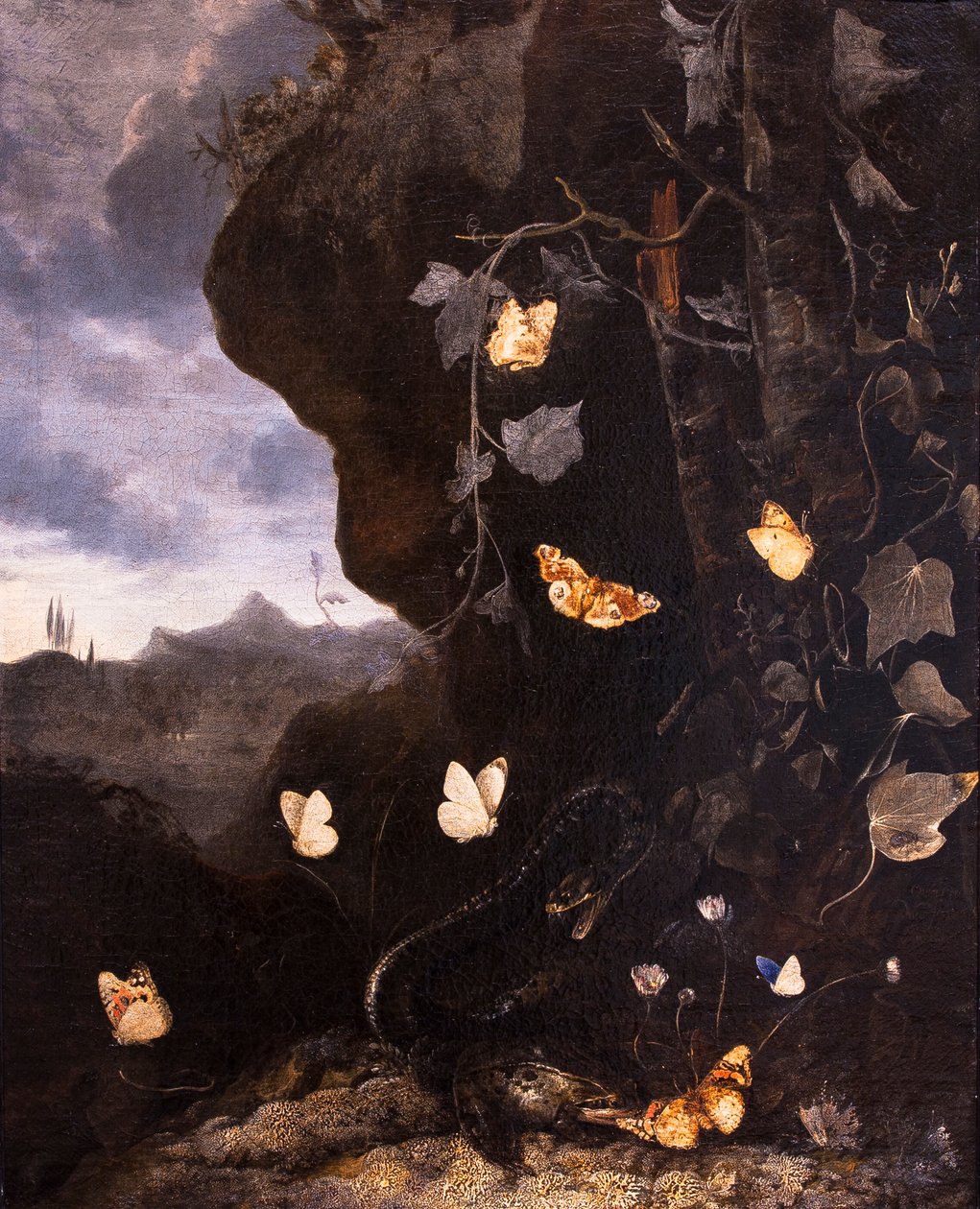 Slangen, padden en vlinders door Otto Marseus van Schrieck