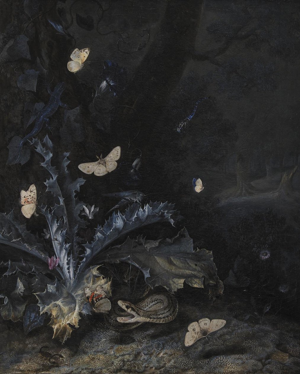 Stilleven met Distel en Slang door Otto Marseus  van Schrieck