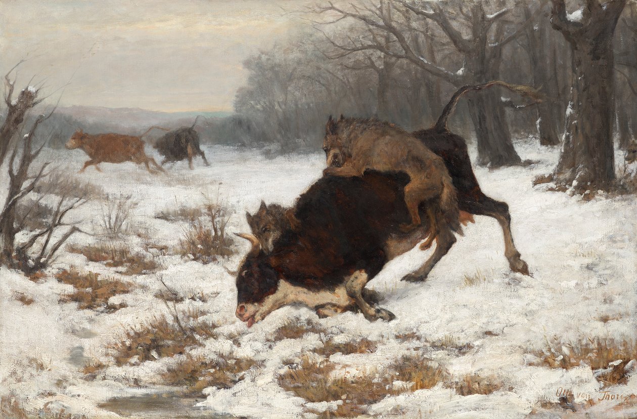 Een koe wordt aangevallen door wolven door Otto von Thoren