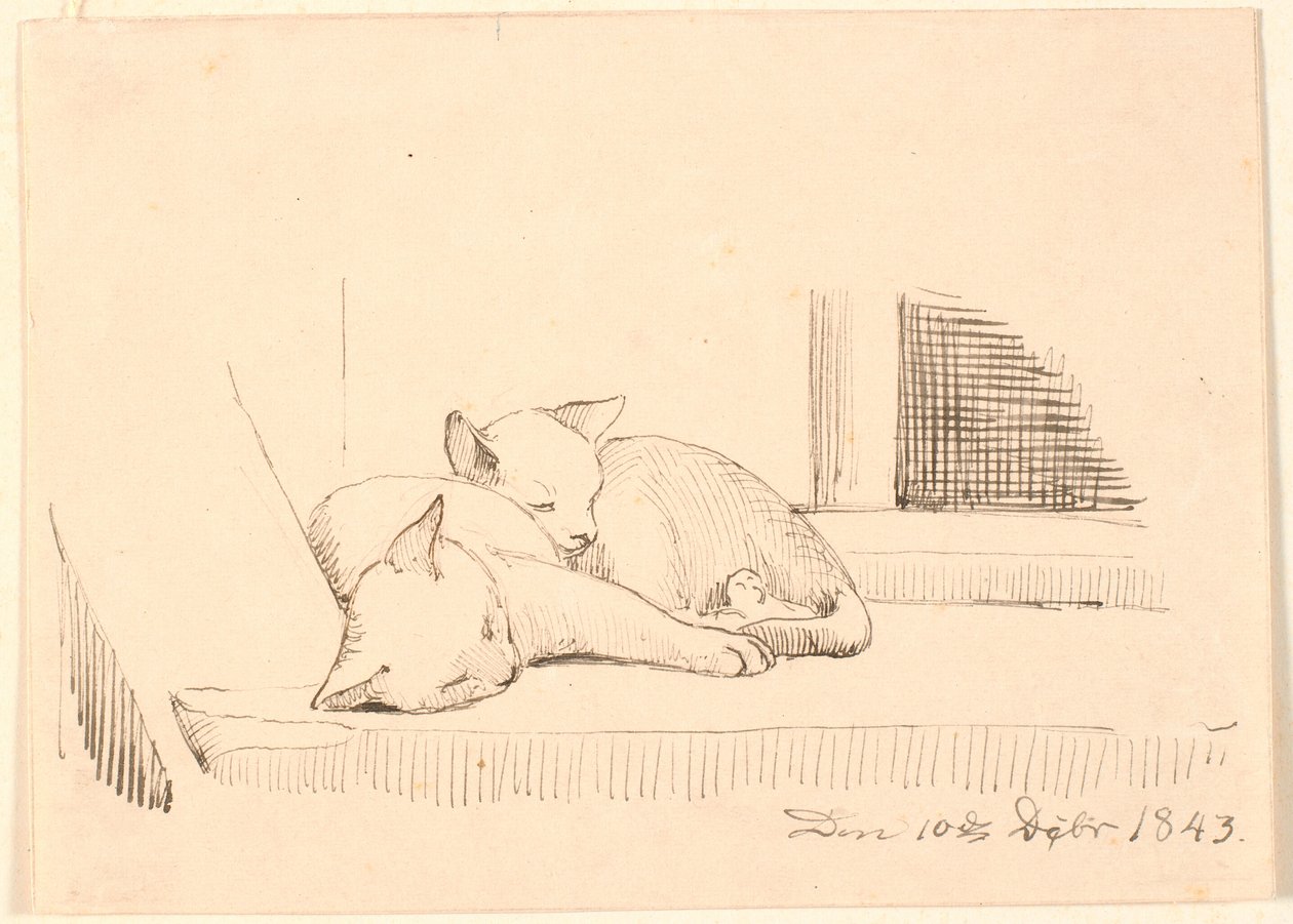 Twee slapende katten door P.C. Skovgaard