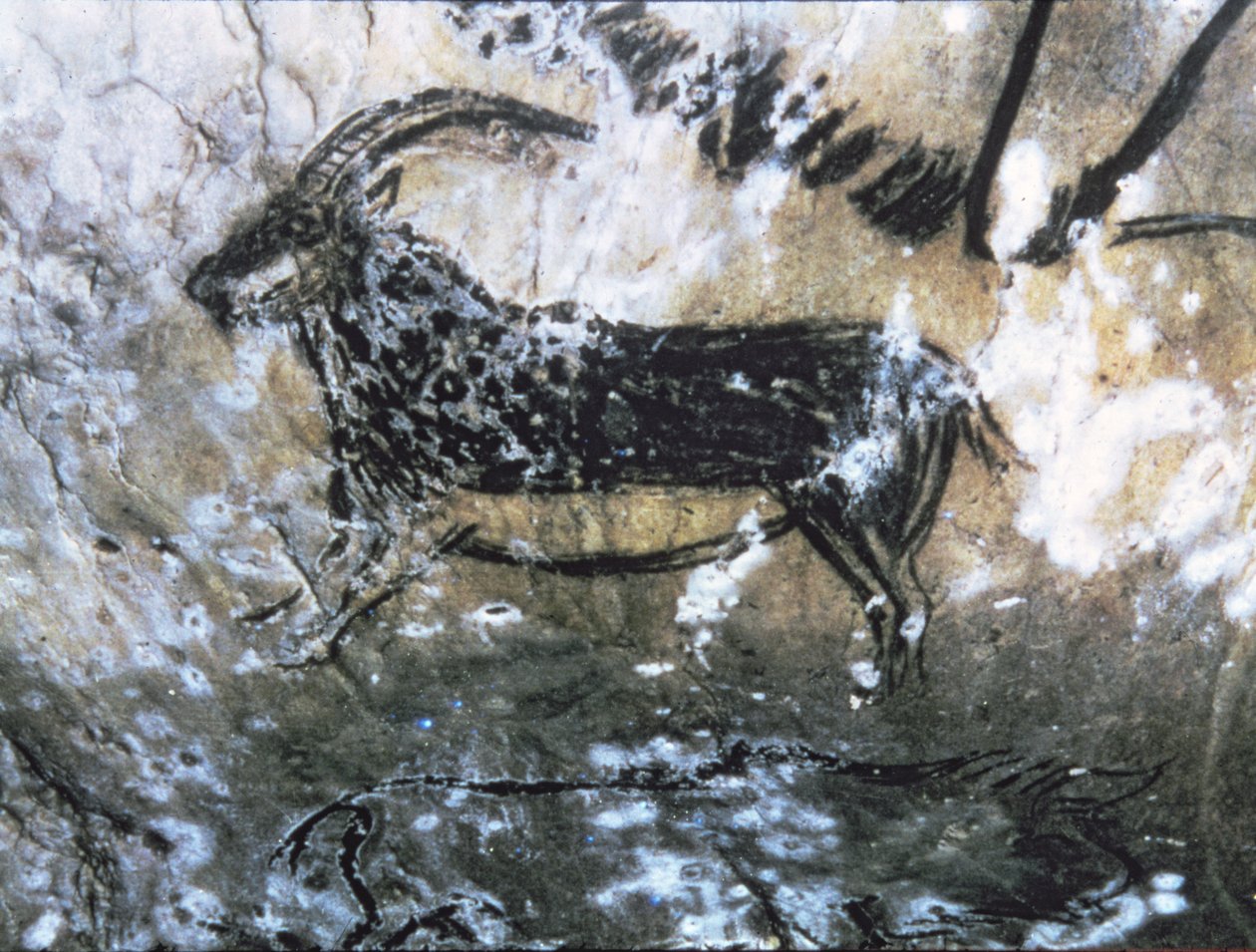 Geit of Gems, rotsschildering in de Zwarte Kamer, Magdalénien (grotschildering) door Paleolithic Paleolithic