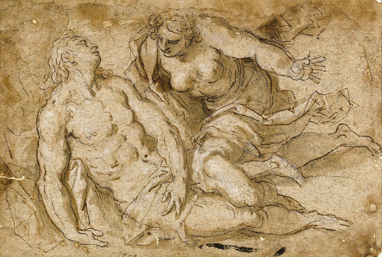 Venus ontdekt de dode Adonis door Palma Il Giovane
