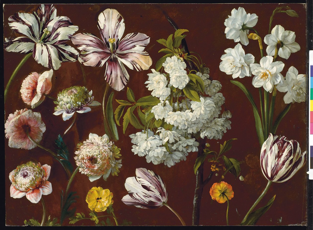 Paarse tulpen, witte bloeiende prunus, narcis en roze chrysant door Pancrace Bessa