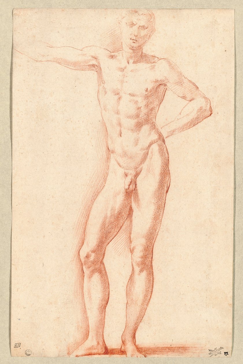 Mannelijk naakt (rood krijt) door Parmigianino (1503-40)