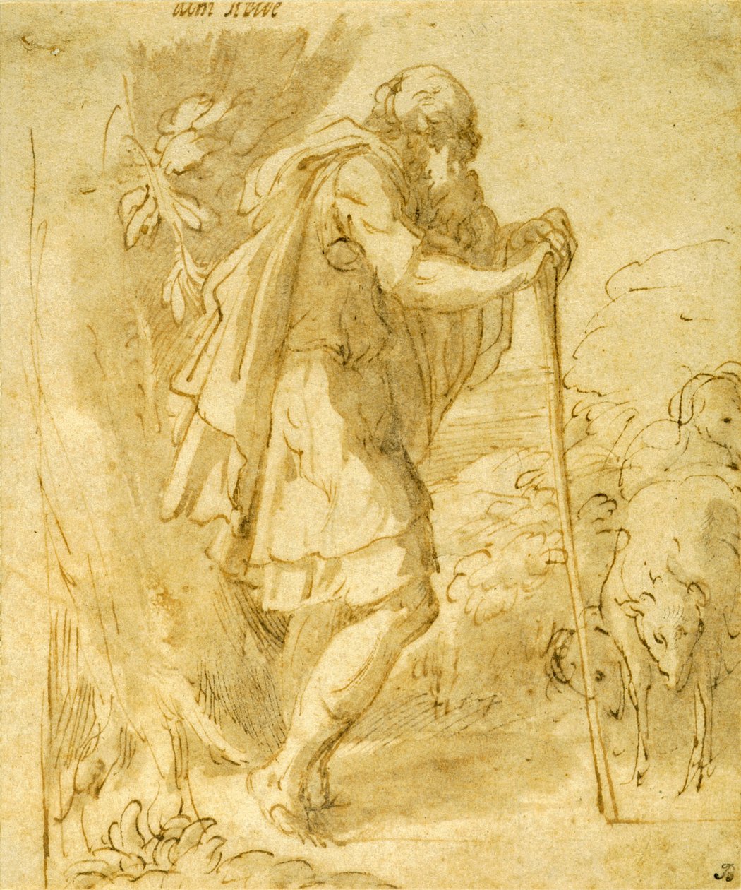 Oude Herder Leunend op een Staf door Parmigianino