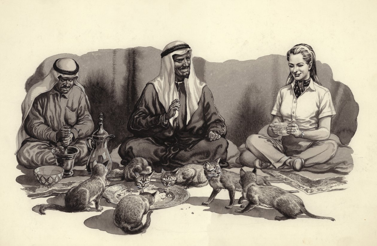 Een Arabische man voert zijn katten (gouache op papier) door Pat (1907 95) Nicolle