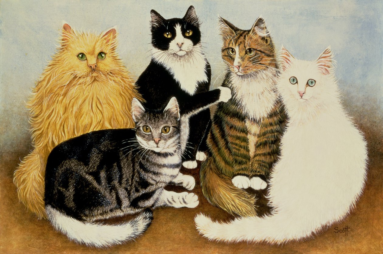 Wieg van de kat door Pat Scott