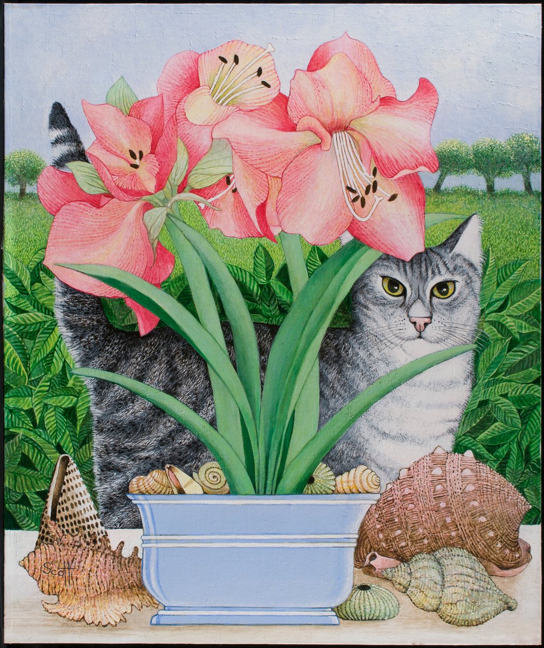 Mogelijkheden verkennen, 2011 (acryl op calico) door Pat Scott