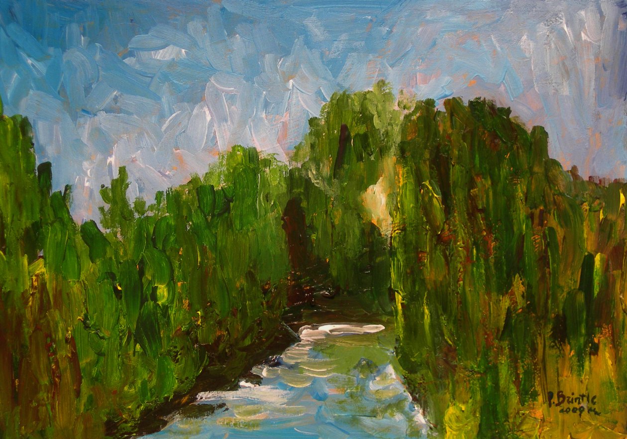 Kronkelende rivier, 2009 door Patricia Brintle
