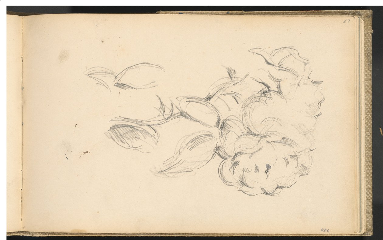 Pioenen door Paul Cézanne