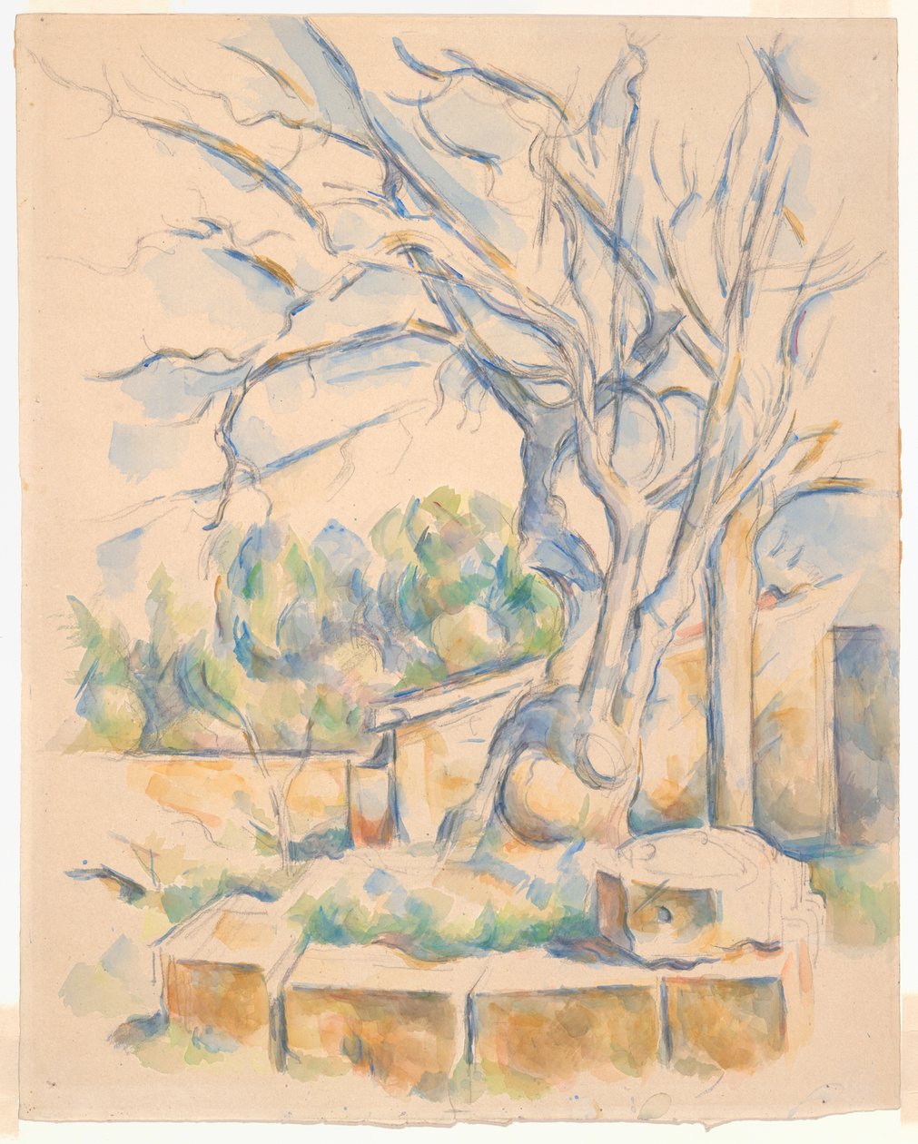 Pistacheboom op Château Noir door Paul Cézanne
