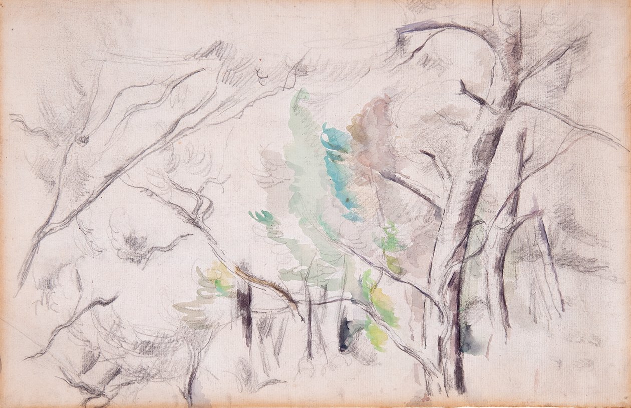 Bomen [recto]; Encagnane met de Pilon du Roi [verso] door Paul Cézanne