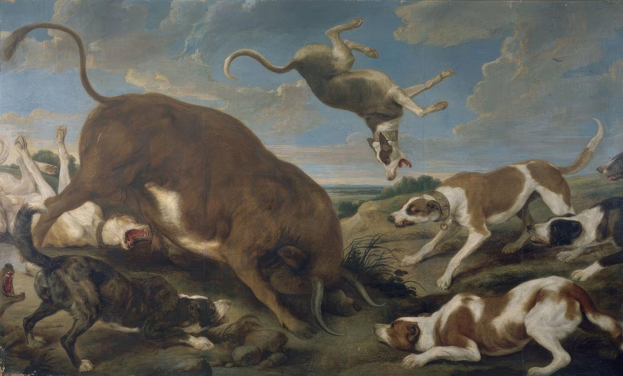 Stier aangevallen door honden – 17e eeuw – Barok Vlaams door Paul De Vos