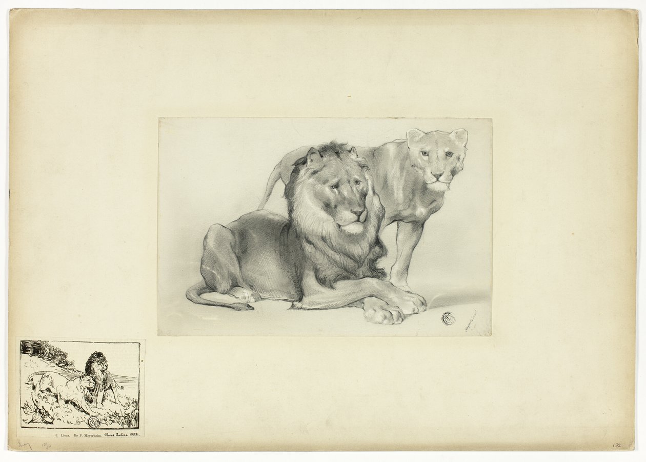 Leeuw en leeuwin door Paul Friedrich Meyerheim