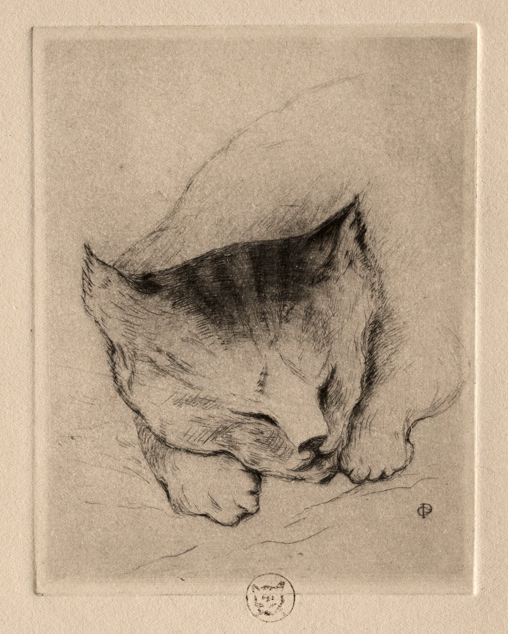 Zes Etsen: Hoofd van een Kitten, 1895 door Paul Gachet