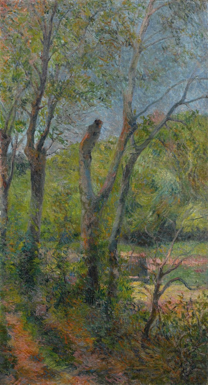 Frans:  Les Saules Willows door Paul Gauguin