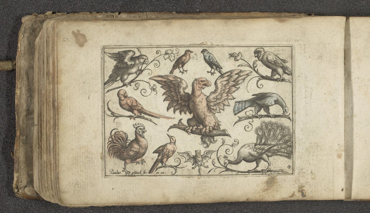 Roofvogel, negen andere vogels en een vleermuis door Paul Göttich