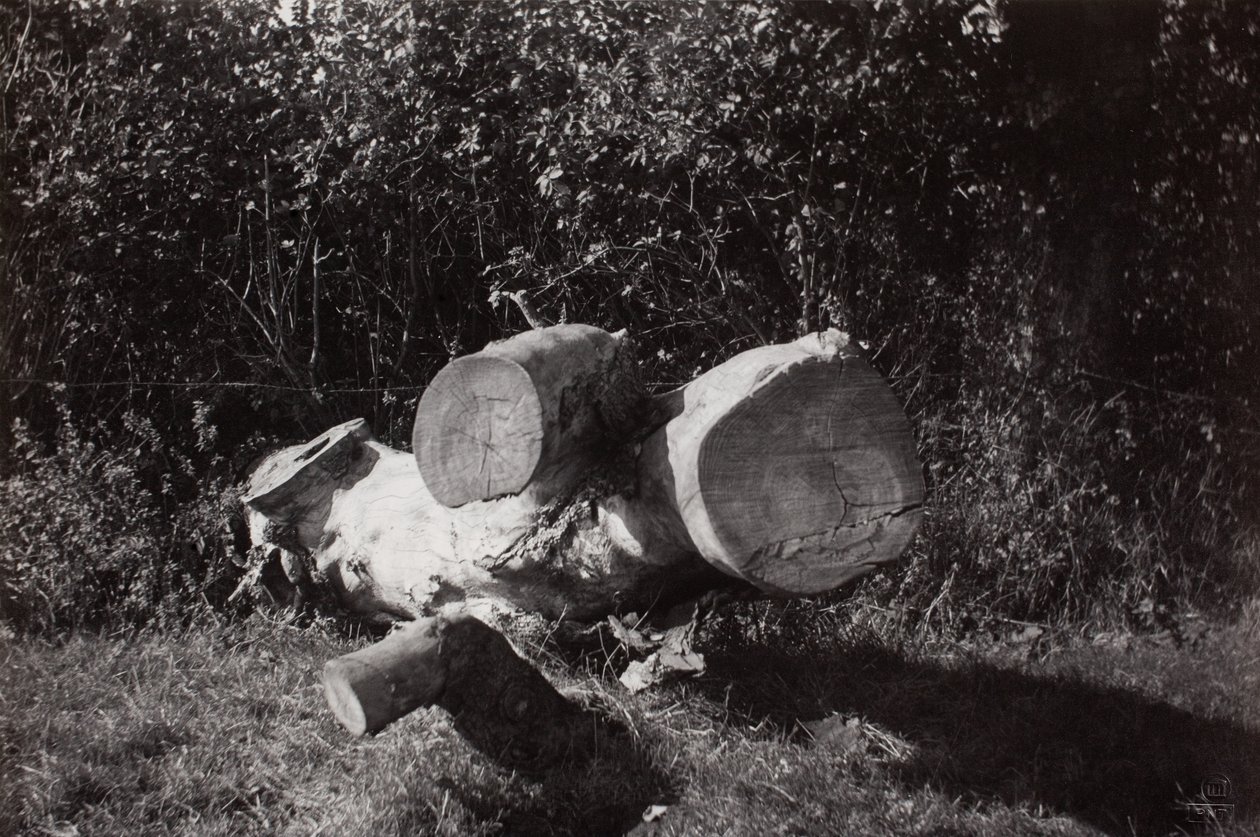 Object zoeken door Paul Nash