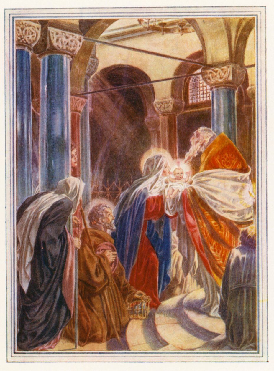  door Paul Vincent Woodroffe