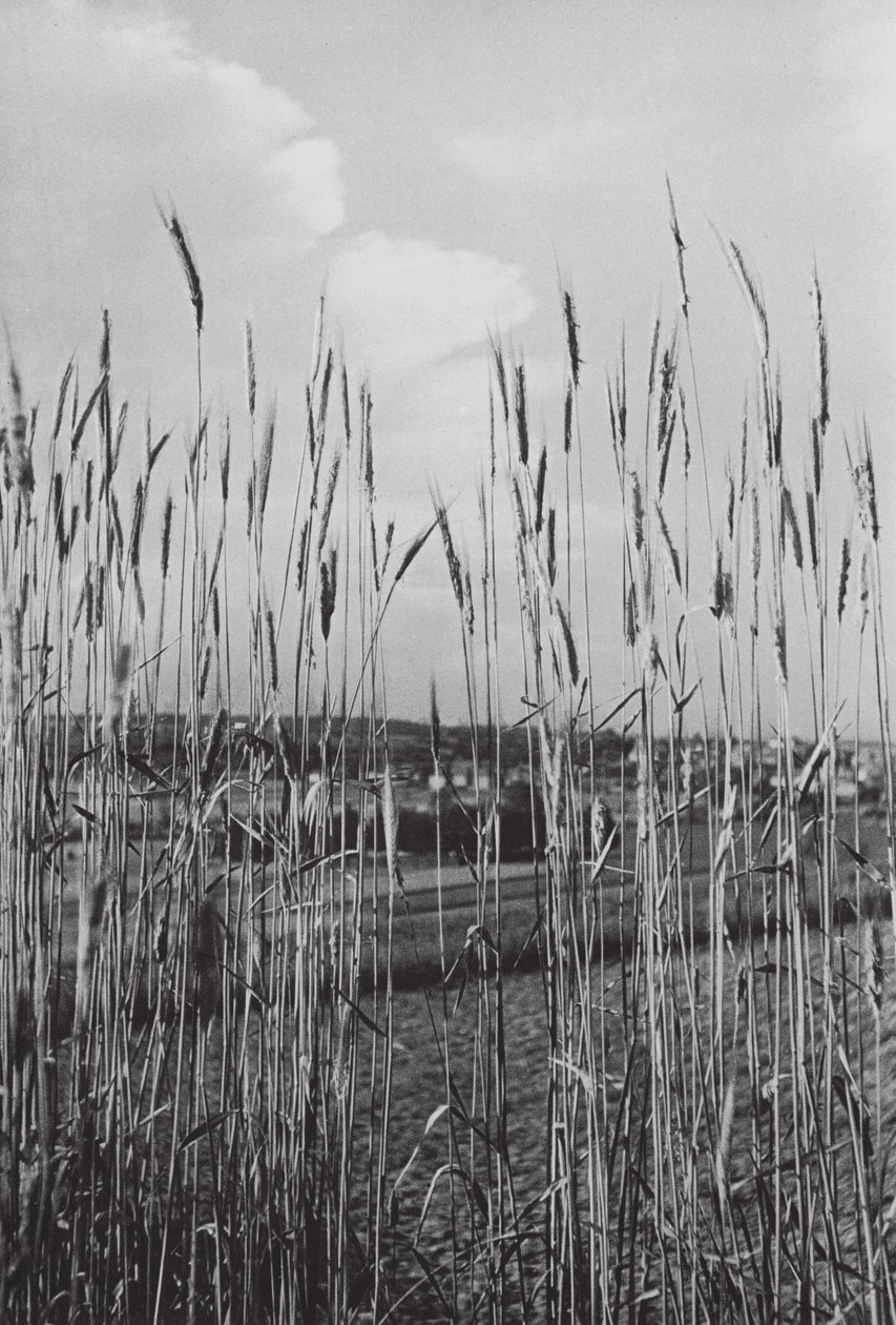 Op het Beierse platteland (z/w foto) door Paul Wolff